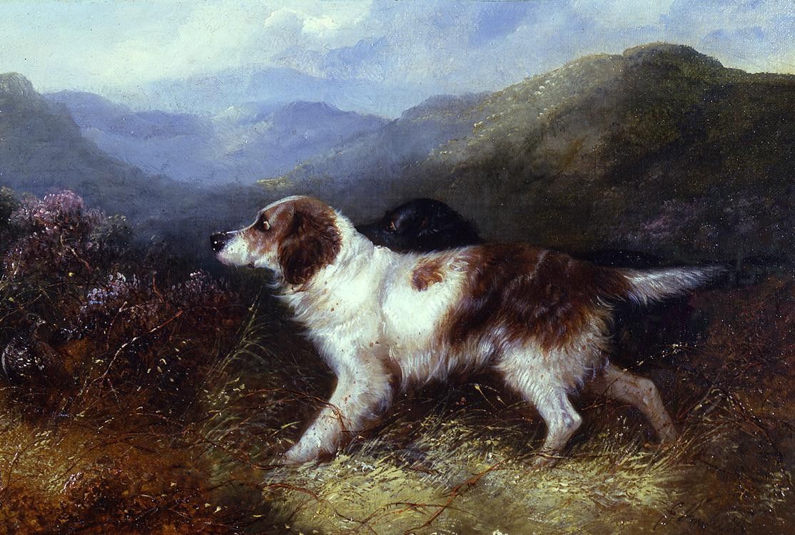 George Armfield Two Setters in a Landscape